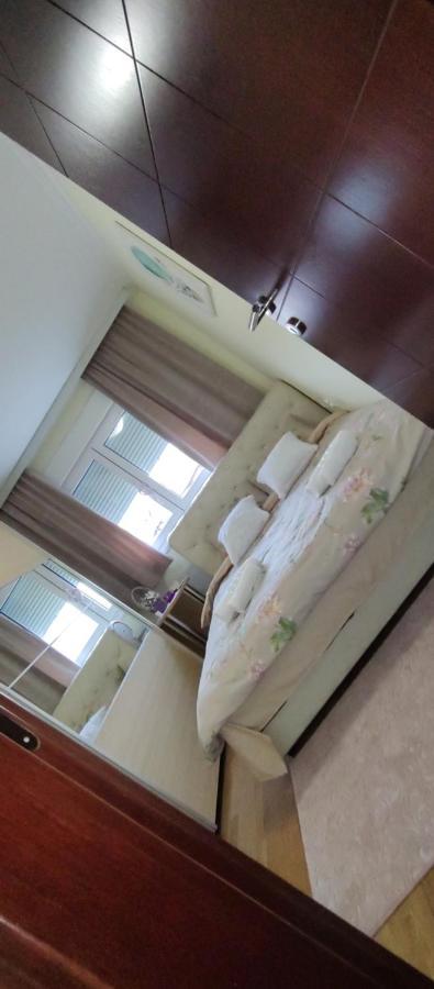 Apartman Mali Raj Vrnjacka Banja Exterior photo